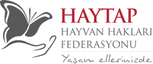 logo_haytap